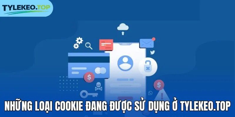 Những loại Cookie đang được sử dụng ở bcura.org